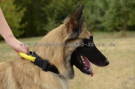 Nylon Hundehalsband mit Verschluss und dem Griff