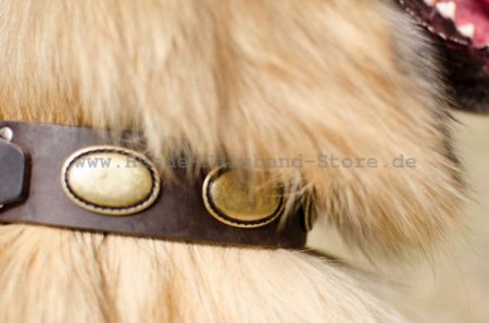 Einzigartiges Hundehalsband aus Leder- Vintage