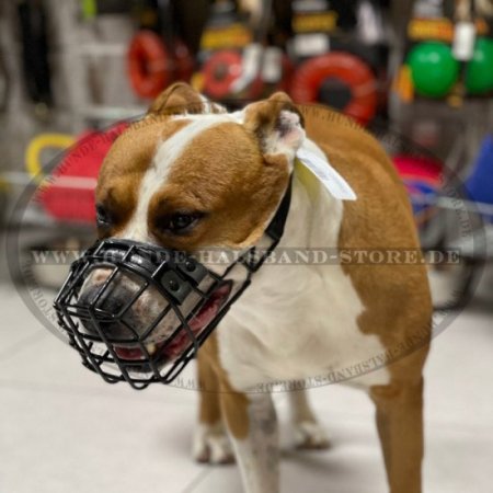 Amstaff Drahtmaulkorb mit Gummi bedeckt