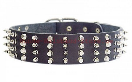 Leder Halsband mit Nieten 50 mm