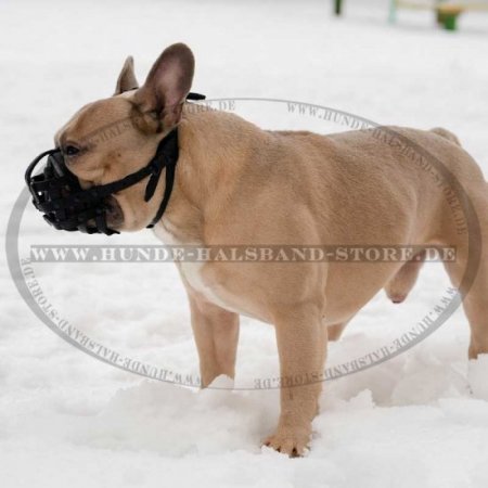 Bestseller Alltag leichter Ledermaulkorb für Französische Bulldogge