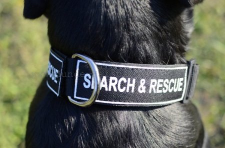 Logohalsband aus Nylon für Hunde