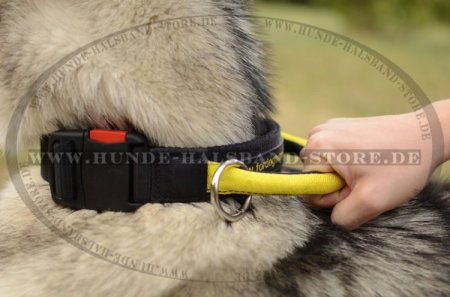 Nylon Hundehalsband mit Verschluss und dem Griff