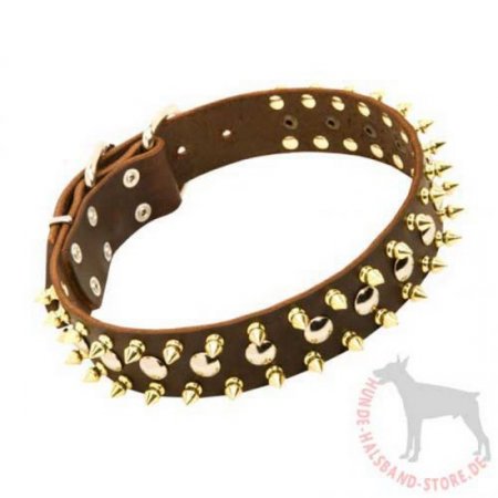 Halsband für Hunde aus Leder mit Spikes und Nieten