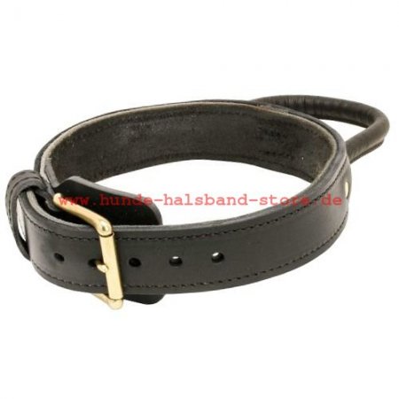 Bestseller Amstaff Hetz-Hundehalsband aus Leder mit Griff