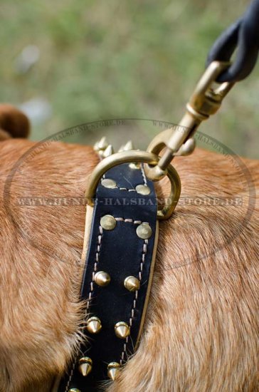 Halsband für Bordeauxdogge mit Nappapolsterung & Spikes