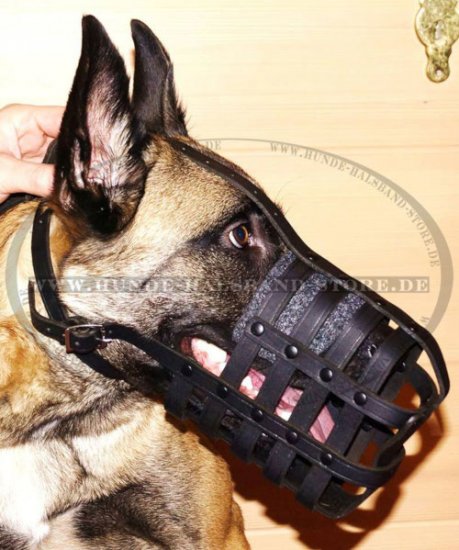 Malinois leichter und bequemer Ledermaulkorb von Fordogtrainers - zum Schließen ins Bild klicken