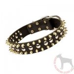 Halsband für Hunde aus Leder mit Spikes und Nieten_1