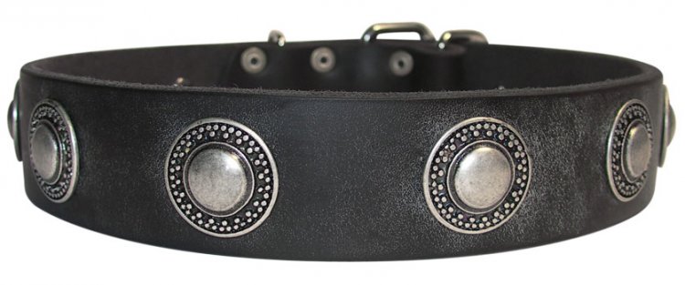 Neu Exklusive Hundehalsband Leder mit Silber-Concho - zum Schließen ins Bild klicken