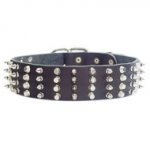 Leder Halsband mit Nieten 50 mm