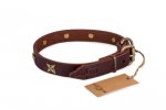 Enges Lederhalsband mit Platten und Sterne_4