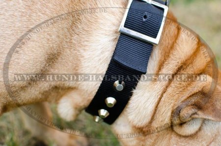 Hunde Halsband Nylon Exklusiv mit Pyramiden