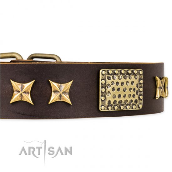 "Sparkling Bronze" bestes Lederhalsband von Artisan FDT