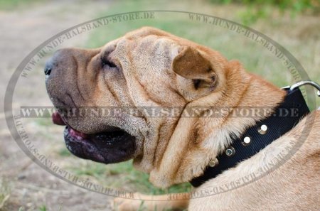 Hunde Halsband Nylon Exklusiv mit Pyramiden