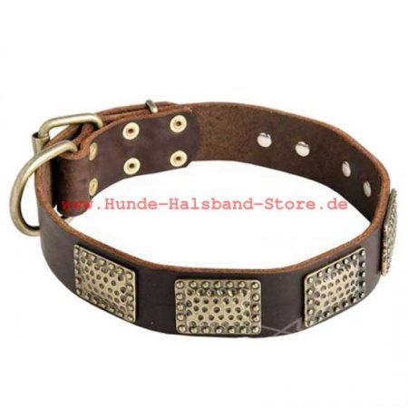 Hundehalsband aus leder mit Vintage Platten