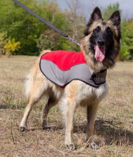 Hundebekleidung Nylon mit Fleece für Tervueren - zum Schließen ins Bild klicken