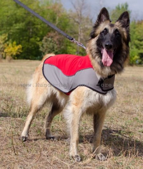 Hundebekleidung Nylon mit Fleece für Tervueren