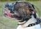 Drahtmaulkorb für amerikanische Bulldogge