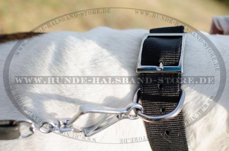 Hundehalsband aus Nylon mit Spikes