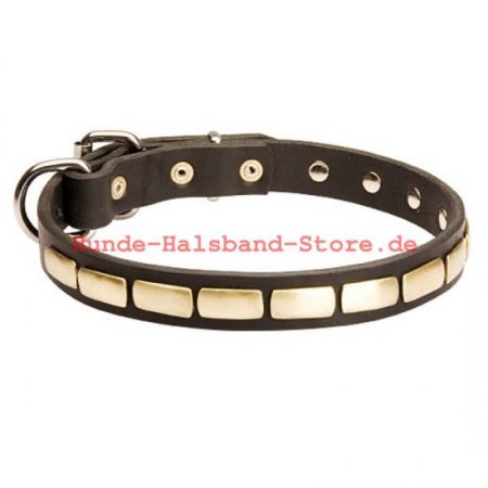 Bestseller Hundehalsband Leder für Französische Bulldogge Exklusiv