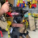 Bequemes ID-Nylongeschirr für Malinois_8