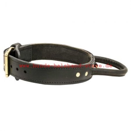 Bestseller Hundehalsband Leder mit Schlaufe für Labradors und Retriever❺