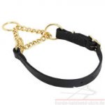 Dressur Halsband aus Leder und Messing