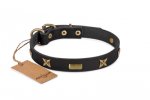 Enges Lederhalsband mit Platten und Sterne_2