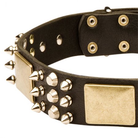 Staffordshire Bullterrier Bestseller Halsband mit Spikes Pyramiden