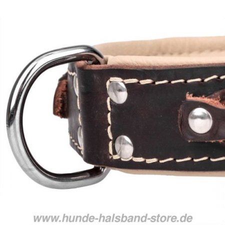 Tolles Lederhalsband mit Flechten und verschromtem Schmuck