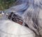 Südrussischer Schäferhund bemaltes Lederhalsband breit