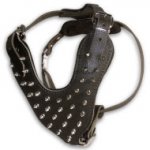 Designer Hundegeschirr Leder für Auslauf