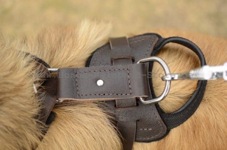 Rottweiler Brustgeschirr aus Leder für K9 und Hundetraining