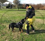 Hunde Halsband Leder mit Bemalung_3