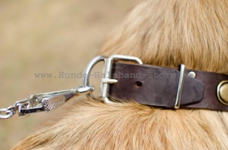 Einzigartiges Hundehalsband aus Leder- Vintage