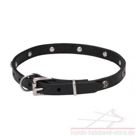 Originelles Hundehalsband mit Nieten