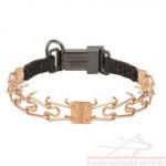 Stachelhalsband Curogan mit Click Lock Verschluss
