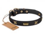 Enges Lederhalsband mit Platten und Sterne_0