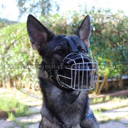Wire Basket Muzzle for Large Dog Breeds