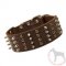 Leder Halsband Hund mit 4 Reihen der Nieten