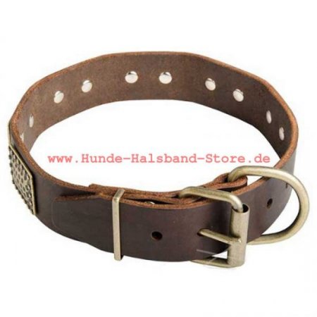 Hundehalsband aus leder mit Vintage Platten