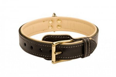 Breites Hundehalsband Leder mit Rindnappa-Leder