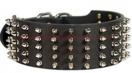 Bestseller-Hundehalsband aus Leder mit vernickelten Spikes