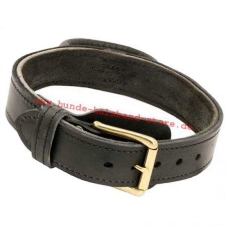 Akita Hundehalsband Leder mit Handschlaufe ❺❺❺