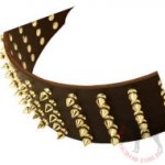 Hundehalsband mit Goldfarbigen Spikes