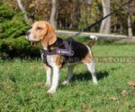 Allwetter Nylongeschirr mit Logos für Alaskan Malamute_1