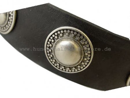 Breites Hundehalsband Leder mit Silber-Concho