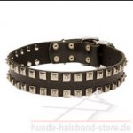 Breites Hundehalsband Leder mit quadratischen Nieten