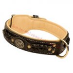 Exklusives Leder Hundehalsband, Top-Qualität