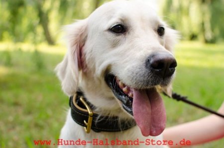 Breites Hundehalsband Leder mit Rindnappa-Leder